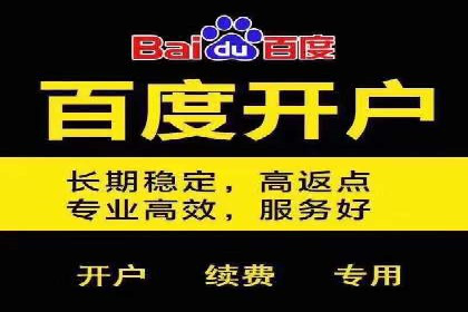 百度推广代运营助力企业增长案例